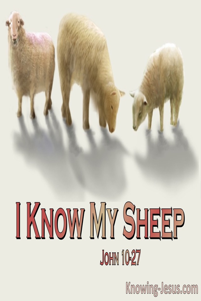 John 10:27 My Sheep Hear My Voice (pink)